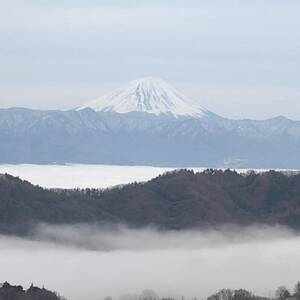 【2026年先行受付】10月上旬発送「牧丘天空マスカットノワール」約1kg(2～3房)【配送不可地域：離島】【1579814】