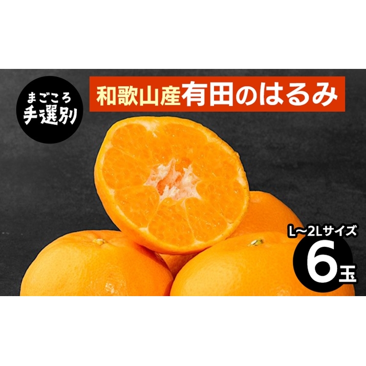【先行予約】【まごころ手選別】和歌山県産 はるみ 約1.5kg（6玉）秀品 L～2Lサイズ混合 柑橘