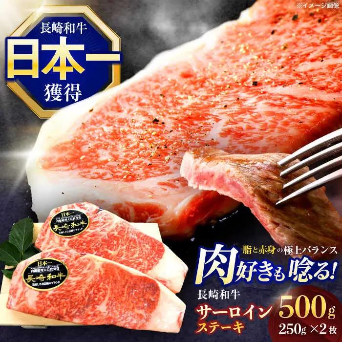 牛肉ステーキ サーロイン ステーキ500g(250g×2枚) [OCE045]サーロイン ステーキ