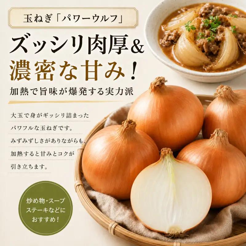 小笠原農園の有機野菜 3種詰合せ（とうや1kg・にんじん1kg・玉ねぎ1kg）北海道 十勝 幕別《2026年秋出荷先行予約》【 野菜 芋 じゃがいも とうや にんじん 人参 アロマレッド 玉ねぎ たま