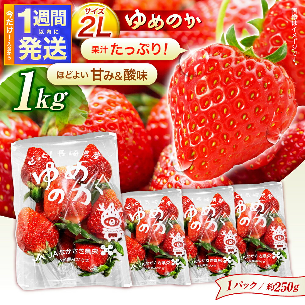【ふるさと納税】【1週間以内発送/限定数量】【贈答用でも使える】長崎いちご「ゆめのか」2Lサイズ 約250g×4パック 合計1000g / いちご 苺 イチゴ ゆめのか フルーツ ふるーつ 果物 くだもの デザート / 諫早市 / 長崎県央農業協同組合Aコープ本部[AHAA033]