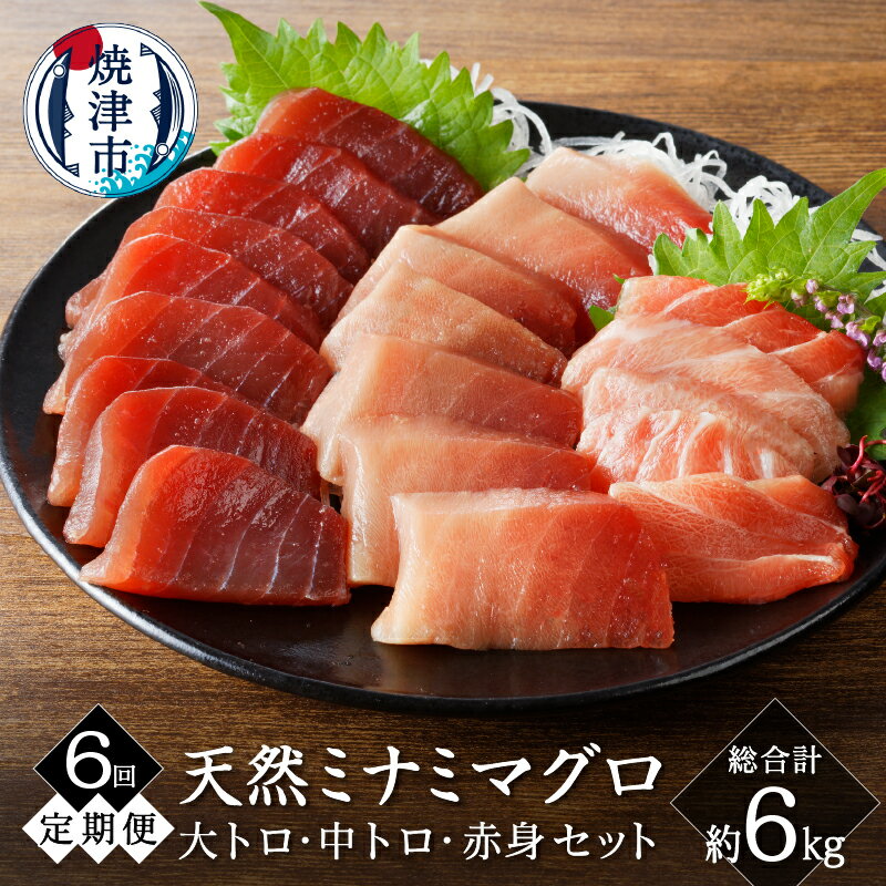 【ふるさと納税】 定期便 6回 まぐろ 天然 南鮪 大トロ 中トロ 赤身 食べ比べ セット 皮無し 柵 切り落とし 魚 焼津 b200-035