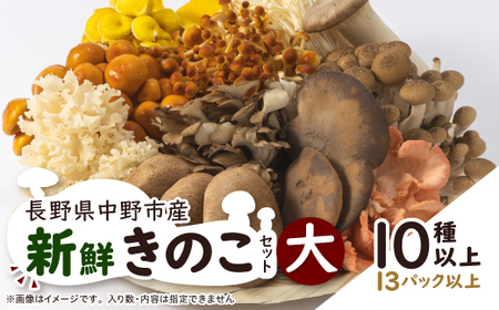 キノコでカラダを整える!新鮮おいしいきのこセット大(10種以上を13パック以上お届け!)【配送不可地域：離島】【1330948】