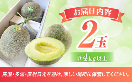 【2025年5月中旬〜発送】肥後グリーンメロン 2玉（合計4kg以上） 果物 フルーツ / 南島原市 / 長崎県農産品流通合同会社[SCB088]