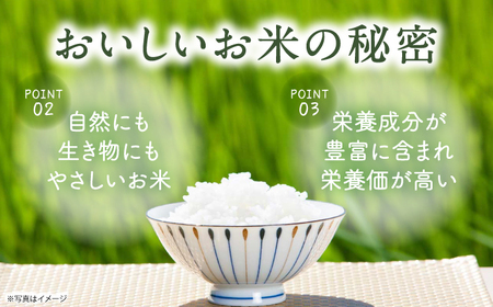 【先行予約】【全12回定期便】令和7年度新米4kg・放し飼いたまご20個セット ヒノヒカリれんげ米 元気たまご【浅田峠自然塾】[EA22]