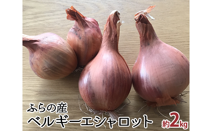 【2025年10月中旬～発送】希少！香味 野菜 ベルギーエシャロット ふらの産 約2kg 北海道 富良野市 (岡本ファームズ) 新鮮 玉ねぎ 直送 道産 ふらの 送料無料 数量限定 先着順