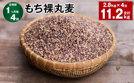 【1ヶ月毎4回定期便】 もち裸丸麦 計11.2kg（2.8kg✕4回） 麦 もち麦 丸麦 雑穀 大麦