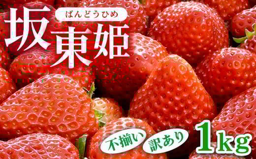 
            坂東姫 1kg 不揃い訳あり｜いちご 苺 イチゴ 訳あり 坂東太郎 果物 フルーツ 紅ほっぺ オリジナル ブランド 期間限定 季節物 茨城県 古河市_CB21 ※北海道・沖縄・離島への配送不可 ※2025年12月下旬頃より順次発送予定
          