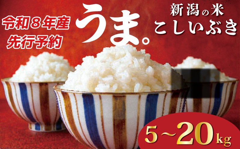 
                  【令和8年産先行予約】新潟限定 こしいぶき 5kg 10kg 20kg 令和8年産 越後の新しい息吹 コシヒカリ の遺伝子を引き継ぐ こしひかり 寄附額見直し 寄附額改定 生活応援 ご飯 備蓄 コメ お米 米 こめ 新潟産 新潟米 新潟県 新潟 新発田 新発田市 国産 新発田市産 斗伸 toushin061P
                