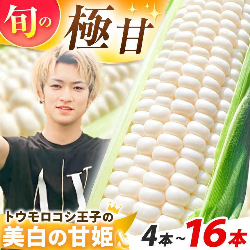 【ふるさと納税】朝採れ 農家直送 産地直送 生食 スイーツコーン プレミアム トウモロコシ 王子の「美白の甘姫」選べる 本数 | 【2026年7月上旬先行予約】トウモロコシ とうもろこし 白とうもろこし 甘姫 甘い 美味しい 希少 珍しい おやつ 栃木県 真岡市 送料無料