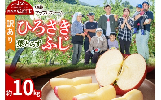 【26年10月発送】りんご ひろさきふじ 葉とらず【訳あり】約10kg 家庭用 青森県 弘前市 果物 フルーツ 林檎 リンゴ くだもの 不揃い 規格外 [産地直送 アップル おいしい 果実 美味 甘い 赤色]