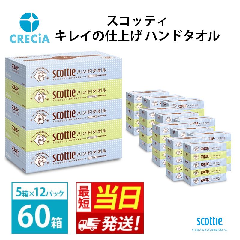 【ふるさと納税】【最短当日発送！】ペーパータオル キレイの仕上げ 60箱 (5箱×12パック) スコッティ ハンドタオルペーパー 手拭きペーパー 使い捨てタオル タオルペーパー 防災 災害 衛生用品 日用品 消耗品 生活用品 生活必需品 まとめ買い 宮城 宮城県 岩沼市
