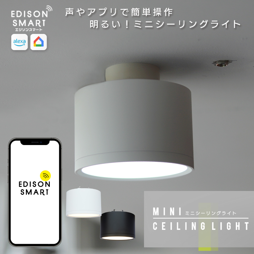 エジソンスマート ミニシーリングライト 引掛けシーリング用 福岡市【ホワイト】
