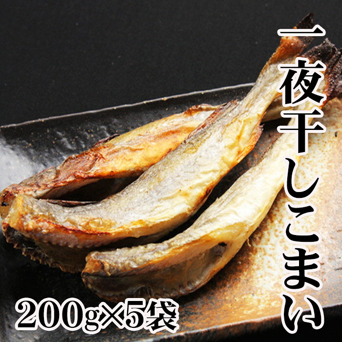 【ふるさと納税】 [北海道根室産] 一夜干しこまい 200g × 5 袋 コマイ 氷下魚 カンカイ さかな 魚 サカナ 干物 珍味 おつまみ 生干し 北海道 根室市 ふるさと納税