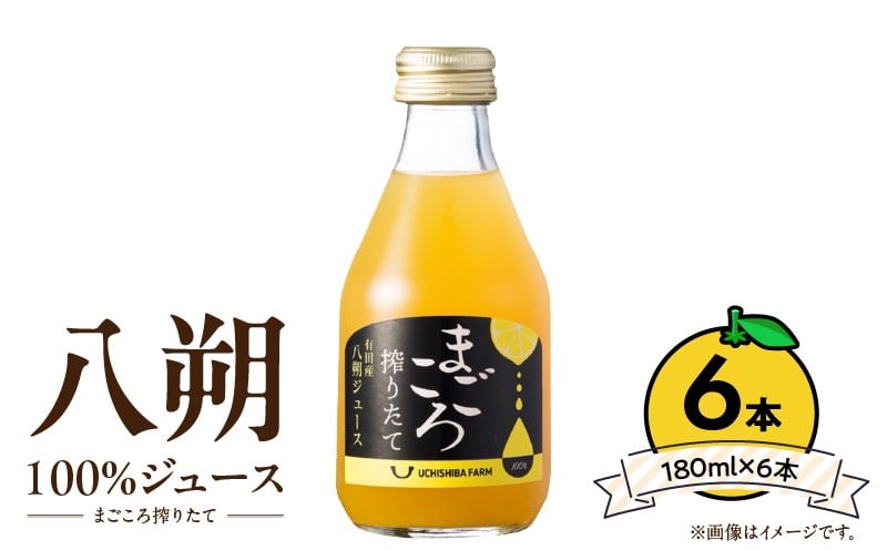 
            ZE6426_【まごころ搾りたて】八朔 100%ジュース 180ml × 6本
          