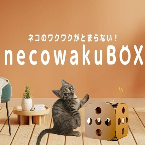 necowakuBOX｜ネコ 猫 ねこ おもちゃ ペット ペット用品