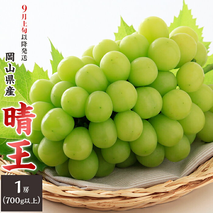 【ふるさと納税】先行予約 岡山 シャインマスカット 晴王 ぶどう 旬 果物 フルーツ 岡山県産 種無し ブドウ くだもの 74-16 「晴王」1房（700g以上）【2026年9月上旬～10月上旬発送予定】