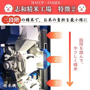 東広島市産米　恋の予感　無洗米　10kg