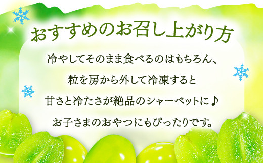 冷やしてそのまま食べるのはもちろん、粒を房から外して冷凍すると、甘さと冷たさが絶品のシャーベット♪お子様のおやつにもぴったり。