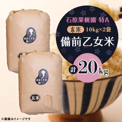 ふるさと納税 高梁市 【石原果樹園】備前乙女米　玄米10kg×2袋(BOB10-2)