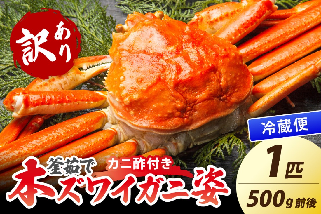 【大好評！カニ酢付き】訳あり！釜茹で！本ずわいがに姿 1匹（500g前後）　YK00439