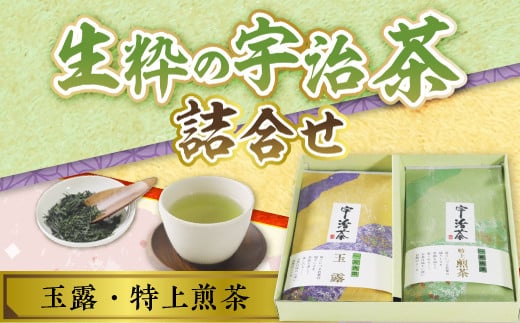 生粋の宇治茶詰合せ 玉露100g 特上煎茶100g　銘茶 お茶 宇治茶 緑茶 玉露 煎茶　AW01