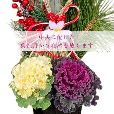 ふるさと納税 藤枝市 迎春・お正月用門松寄せ植え6号 　60cmタイプ |  | 02