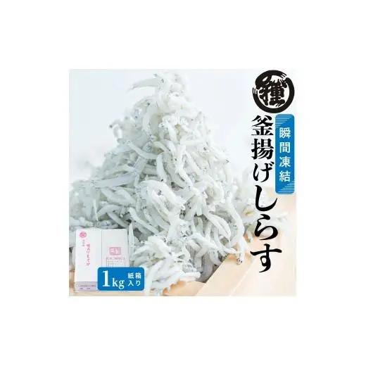 N213　釜揚げしらす　１Ｋｇ