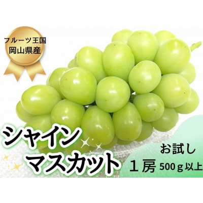 【2026年先行受付】お試しフルーツ王国岡山シャインマスカット500g以上! 朝採れぶどう1房【配送不可地域:離島】
