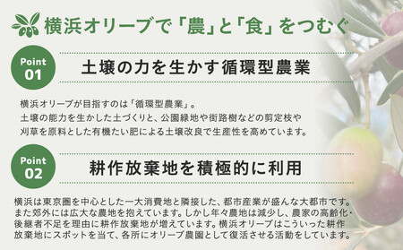 横浜オリーブ　エクストラバージンオリーブオイル　100ml