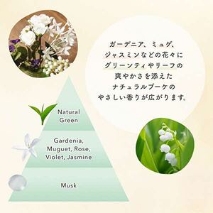 洗剤 定期便 4回 ファーファ ココロ 洗たく用洗剤 詰替3個 セット 日用品 洗濯 洗濯洗剤 洗濯用洗剤 衣類用洗剤 ランドリー フレグランス お徳用 