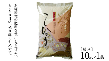 ＼ 2月出荷 ／【令和7年産】コシヒカリ 精米10kg（10kg×1袋）（茨城県共通返礼品 かすみがうら市産） [EX002sa-02]