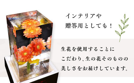 生花氷 ガーベラ (12cm×12cm×25cm) 約4kg 氷 花 インテリア プレゼント ギフト  大村市 大村製氷[ACAB135]