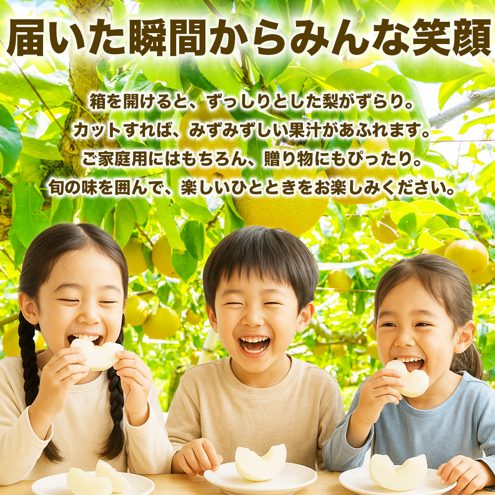 先行予約 豊水梨 約1.8kg（5~8玉） 【2026年8月上旬〜2026年8月下旬配送予定】 梨 なし 和梨 豊水 国産 熊本県 熊本 九州 産地直送 果汁 たっぷり フレッシュ 日本フルーツ