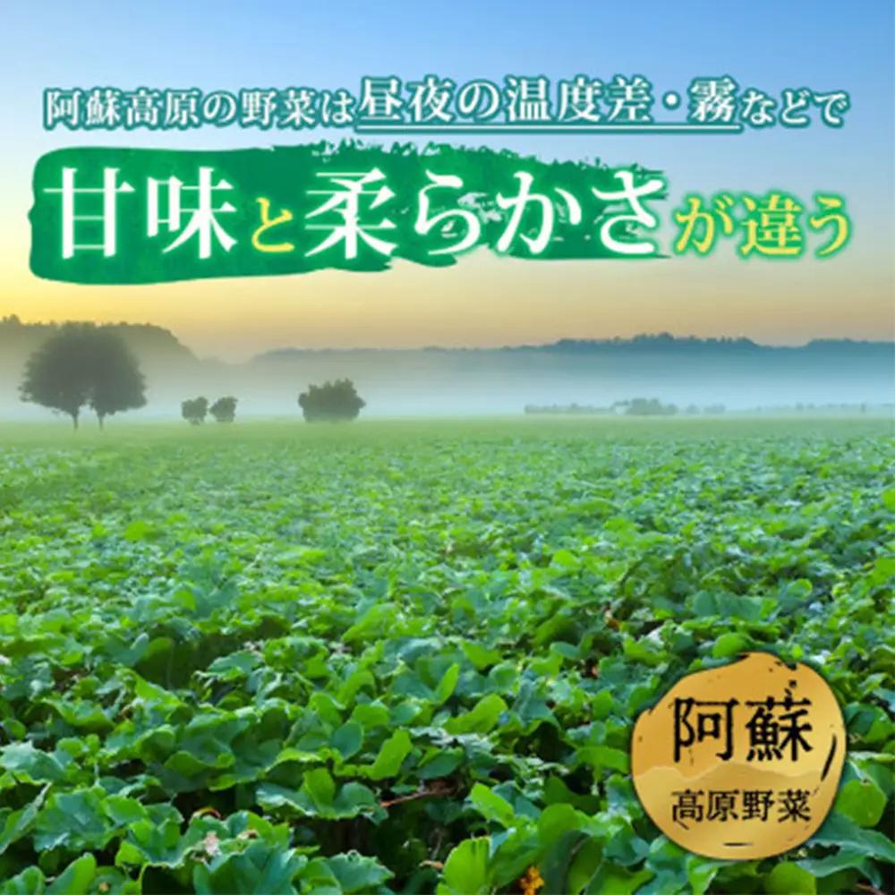 ＜畑から直送＞季節のお野菜セット Mサイズ（5～7品）