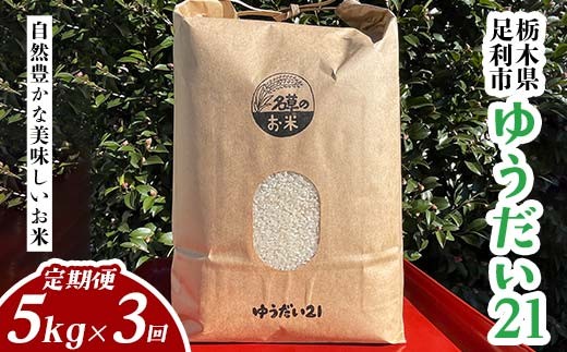 
                  【先行予約】令和8年産 新米 栃木県足利市産 ゆうだい21 5kg×3か月定期便 精米 白米 米 こめ ごはん 食品 栃木県 足利市 F7Z-1812
                