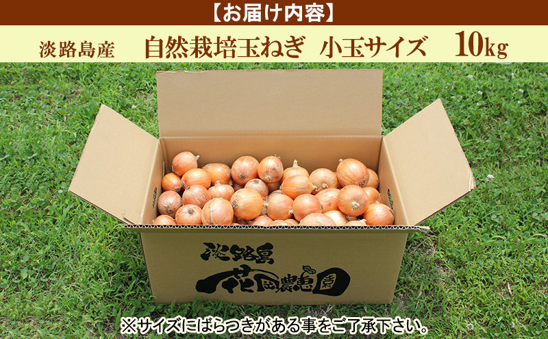 淡路島産 栽培期間中 無肥料・無農薬・自然栽培玉ねぎ 小玉サイズ 10kg 兵庫県 洲本市 淡路島