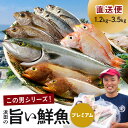 【ふるさと納税】【レビューCP対象】浜田のプレミアム鮮魚～この男シリーズ～ 海鮮 鮮魚 詰め合わせ セット おまかせ 人気 お取り寄せ 【855】