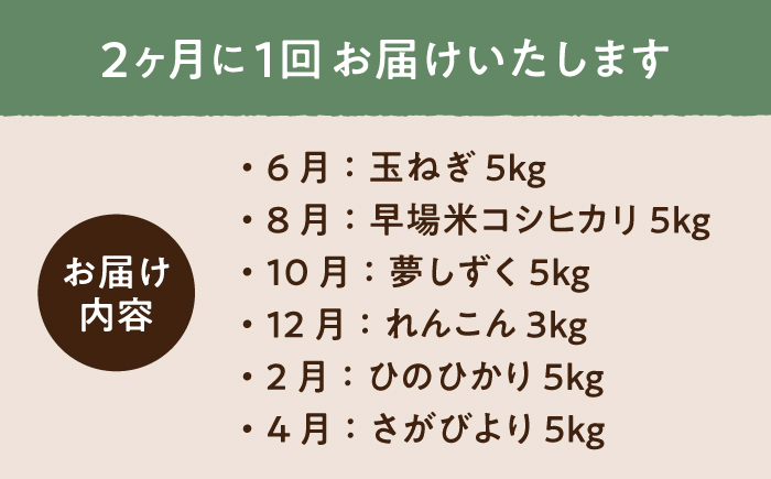 【先行予約】【6回定期便】 農家直送！ 特産物 詰合せ 山口さんちの贈り物【y'scompany】 [IAS018]