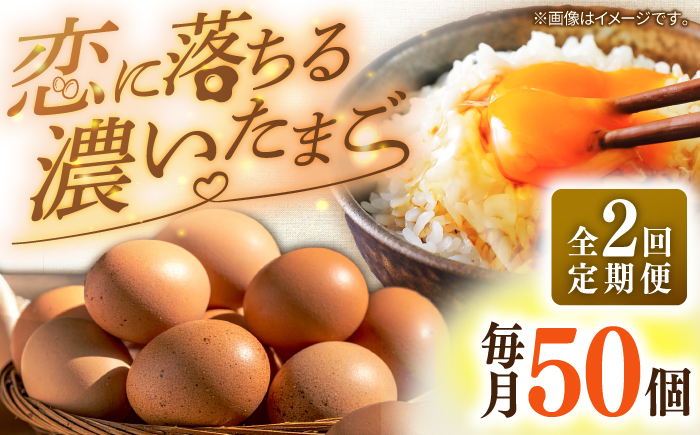 【全2回定期便】特選 素直な恋たまご 50個 《壱岐市》【しまのたまご屋さん】 [JAP022] 卵 たまご 鶏卵 玉子 ギフト 国産 卵かけご飯 たまごかけご飯 のし 定期便 [JAP022]