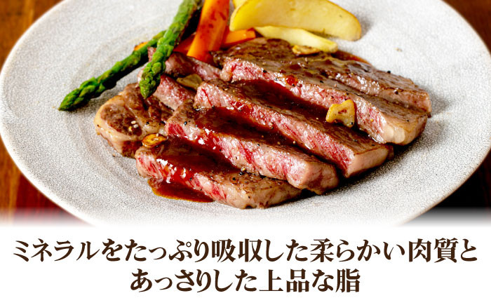 ステーキ 人気 和牛  壱岐牛 希少 柔らかい やわらかい 贈り物 ギフト  肉