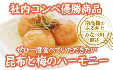 特選A級 紀州南高梅 こんぶ漬800g 千年の知恵 梅干し 贈答用 ブランド梅 和歌山県産 A-224