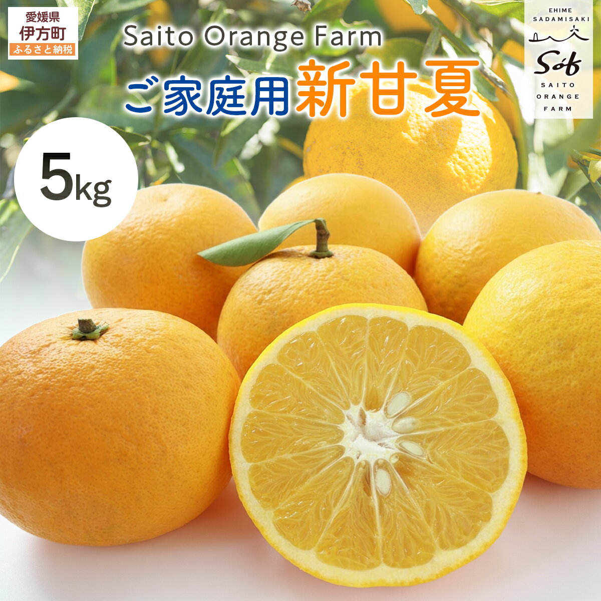 【ふるさと納税】【先行予約】Saito Orange Farm ご家庭用 新甘夏5kg （2027年3月下旬頃より順次発送予定） ふるさと納税 人気 おすすめ 柑橘 みかん ミカン フルーツ 果物　甘夏　新甘夏　サンフルーツ　 愛媛 IKTAQ029