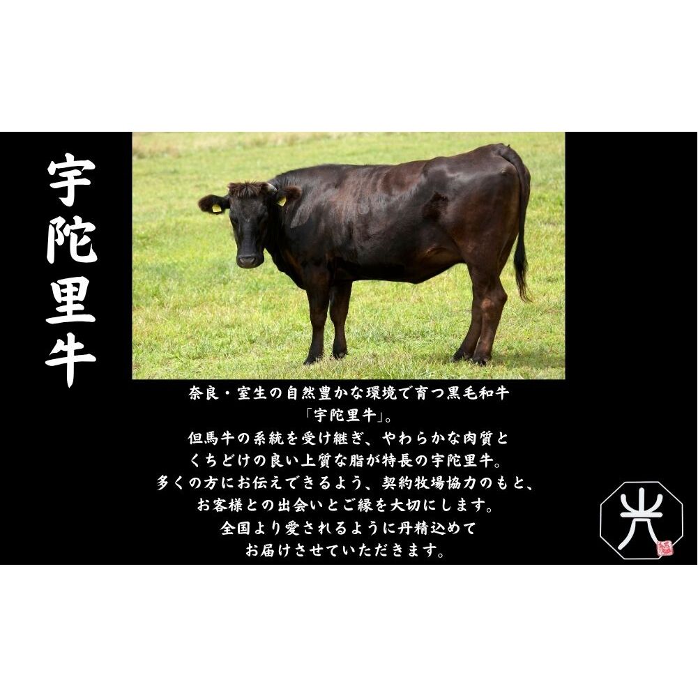 宇陀里牛 サーロインステーキ 4枚 (1枚 約200g) ／ ふるさと納税 国産 黒毛和牛 牛肉 ステーキ バーベキュー BBQ キャンプ お中元 暑中見舞い お土産 お歳暮 正月 奈良県 宇陀市 光