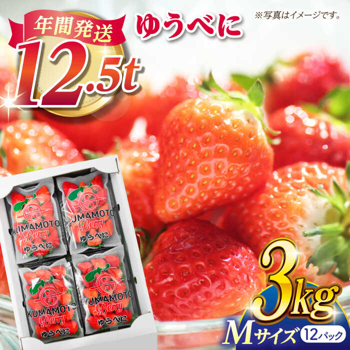 【ふるさと納税】いちご Mサイズ ゆうべに 3kg（12pc）【熊本ベリー】[ZER009] イチゴ 苺 ストロベリー ギフト 産地 新鮮 旬 評判 レビュー 完熟フレッシュ 国産 熊本県産 果物 くだもの フルーツ 人気 セット 季節 産地直送 地域 特産 ブランド おすすめ 期間限定 送料無料