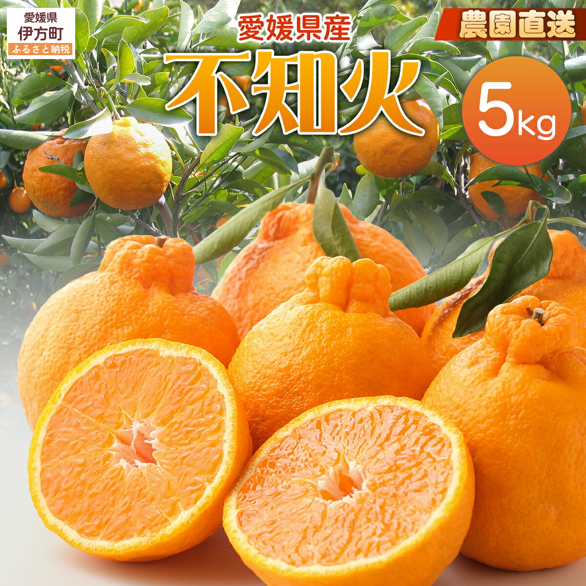 【ふるさと納税】【栽培期間中農薬不使用】【先行受付】【数量限定】農園直送！愛媛県産不知火 5kg （2026年1月上旬頃より順次発送） 【ふるさと納税 人気 おすすめ 柑橘 みかん 不知火 しらぬい フルーツ ギフト 栽培期間中農薬不使用 愛媛県 伊方町 送料無料】 IKTG007