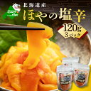 【ふるさと納税】高評価☆5.00 天然 赤ホヤ の 塩辛 360g (120g×3パック)【北海道 根室 産の赤ホヤを新鮮なうちに塩辛に！】（ ふるさと納税 ほや ふるさと納税 ホヤ ふるさと納税 赤ほや 赤ホヤ アカホヤ ふるさと納税 塩辛 ふるさと納税 北海道 ふるさと納税 海鮮 ）