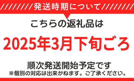 【先行予約】筑波サーキット 会員走行チケット 2輪 3枚セット 【2025年4月～2026年3月末まで使用可能】【 体験チケット サーキット体験チケット ドライビング体験チケット 下妻体験チケット 茨