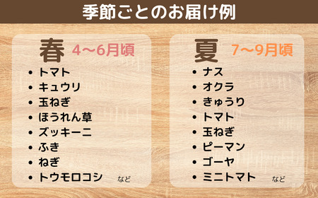 【3ヶ月定期便】新鮮野菜の産直 7～10品目 野菜
