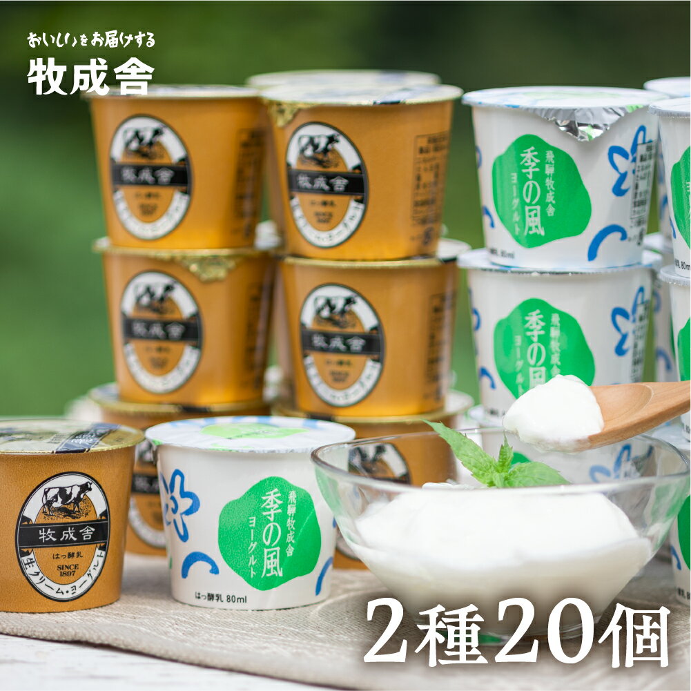 【ふるさと納税】《1週間程度で発送》選べる内容量 飛騨の牛乳屋こだわり カップヨーグルトヨーグルト 2種類 食べ比べ 盛沢山 20個 セット カップヨーグルト 乳製品 ギフト まとめ買い 牧成舎 [A0093] 《hida0307》飛騨市 10000円 1万円